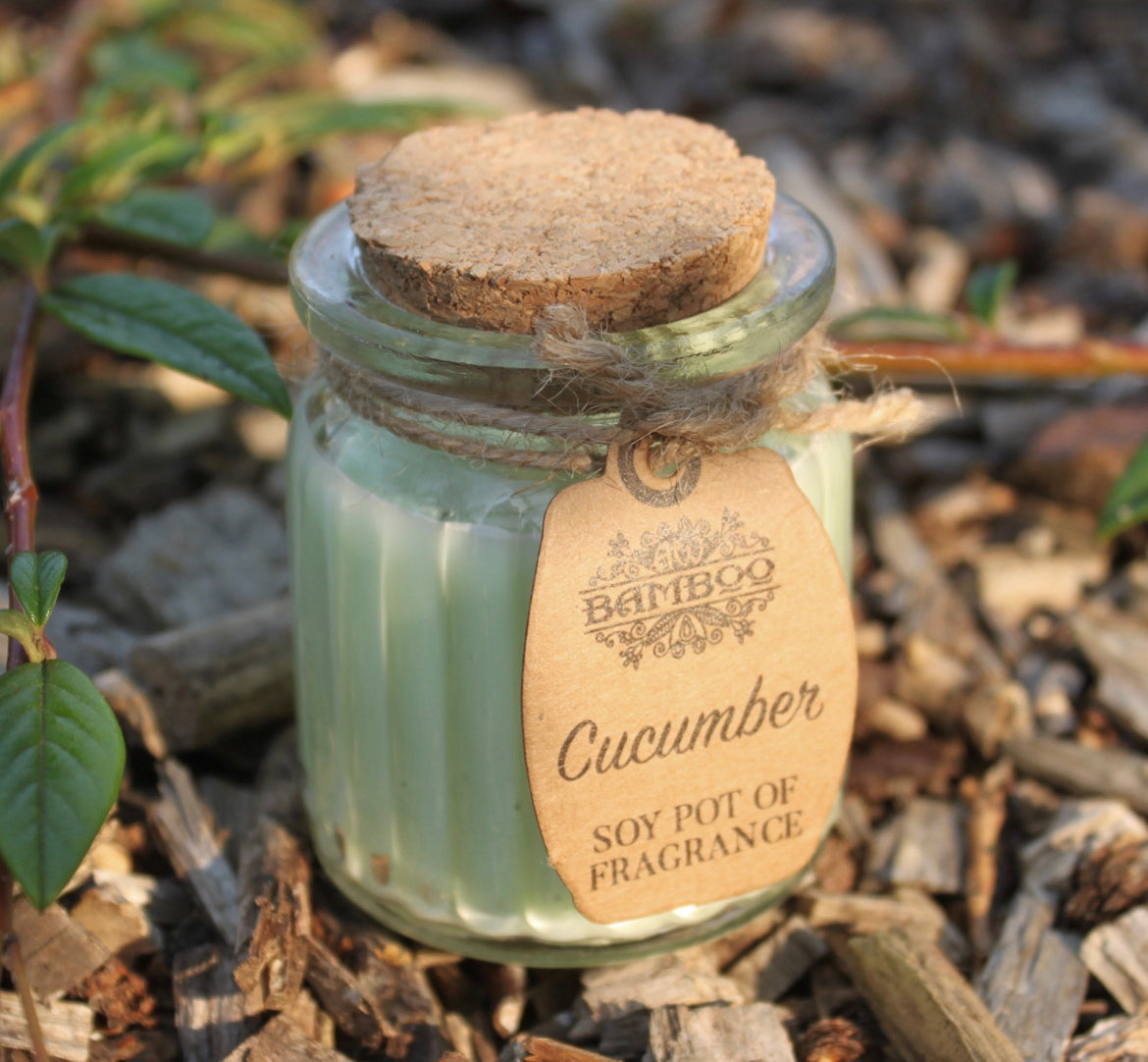 2x Cucumber Soy Pot of Fragrance Candles