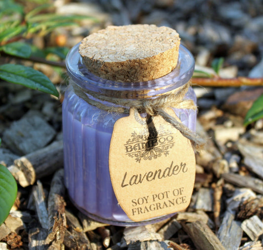 2x Lavender Soy Pot of Fragrance Candles