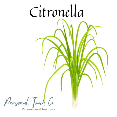 Citronella wax melts